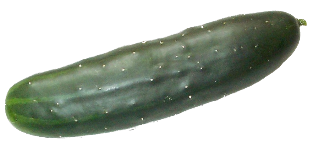 Cucumber (Marketmore).png