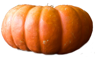 Pumpkin (Cinderella).png
